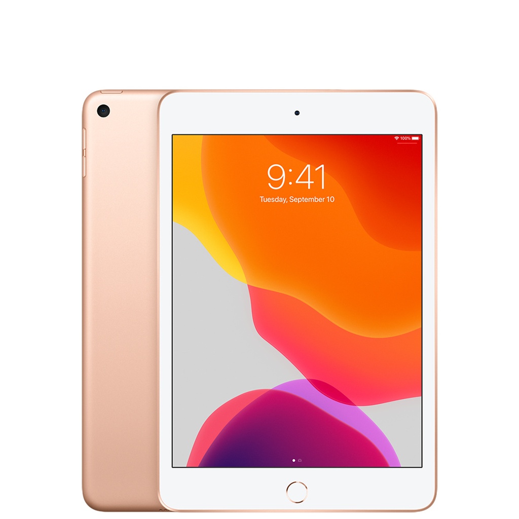IPAD MINI 5TH GEN 64/WIFI OCC