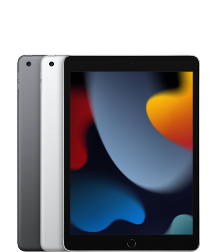 IPAD 10E GEN 256/WIFI OCC